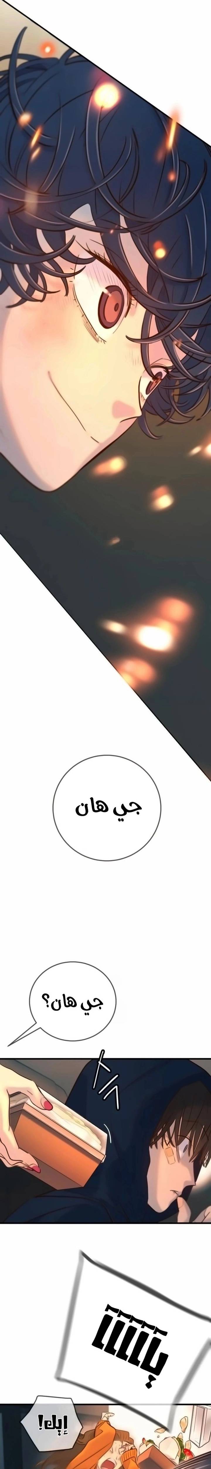 الصفحة 13