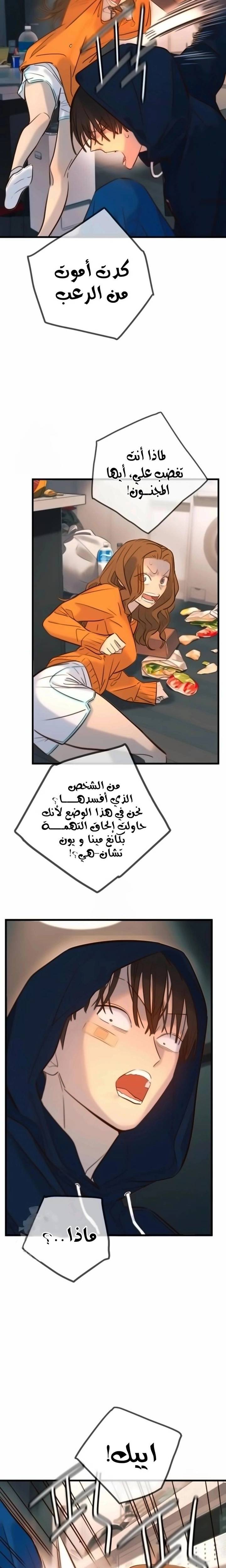 الصفحة 14
