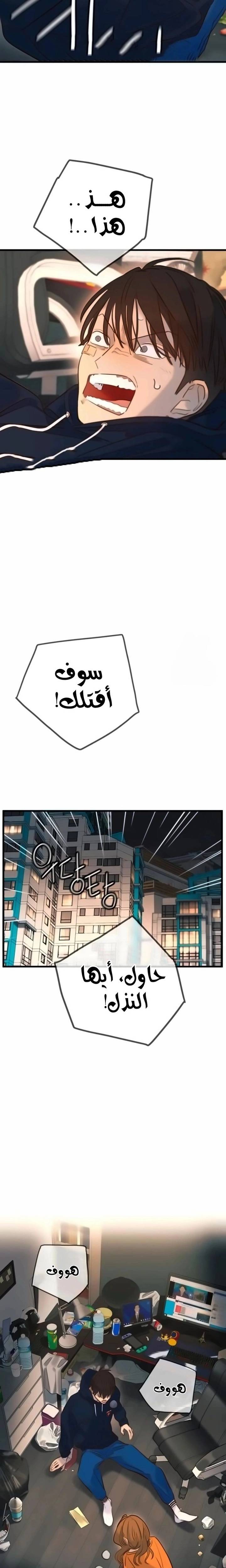الصفحة 17