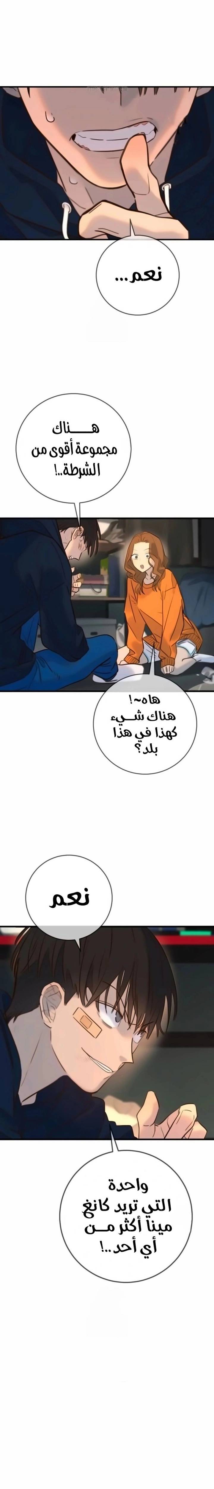 الصفحة 19