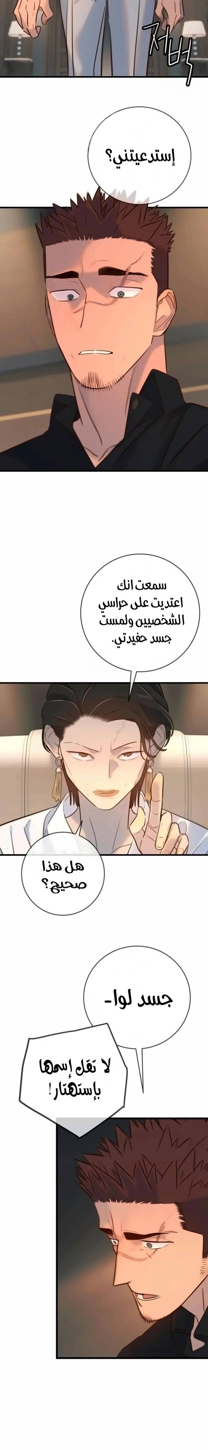 الصفحة 21
