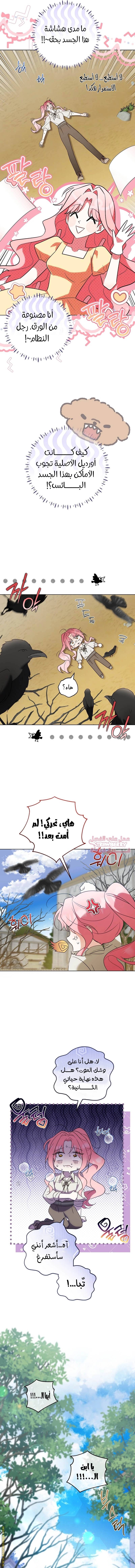 الصفحة 4