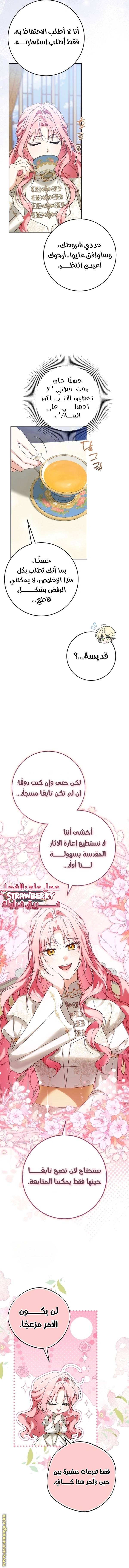الصفحة 13