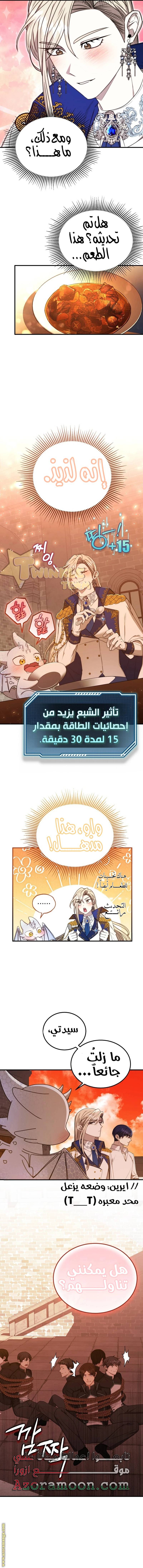 الصفحة 13