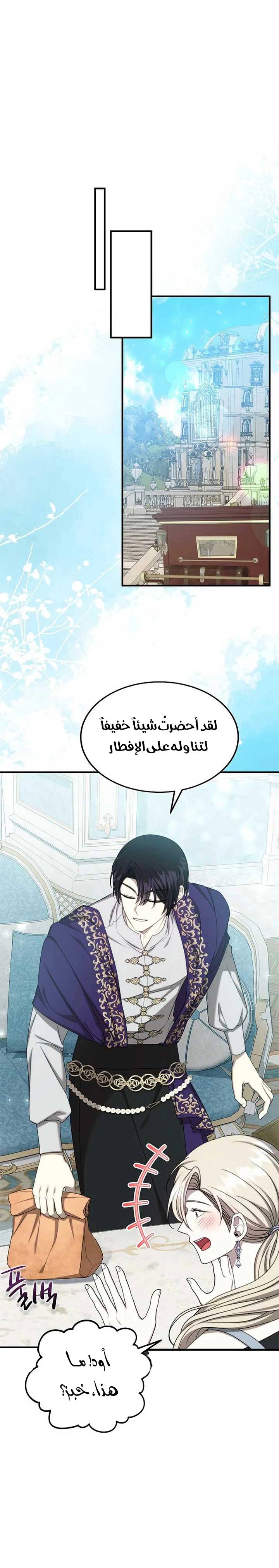 الصفحة 13