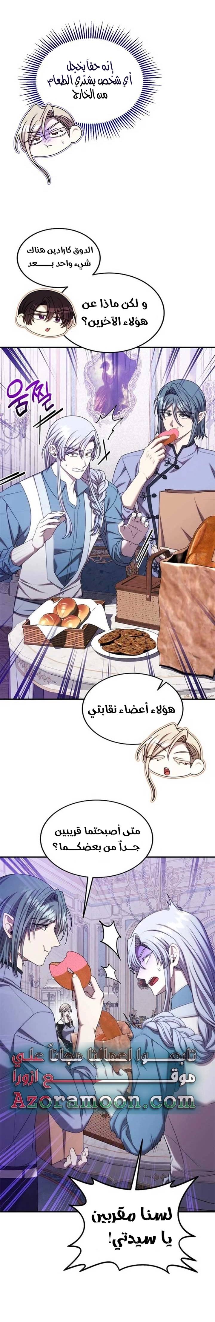 الصفحة 17