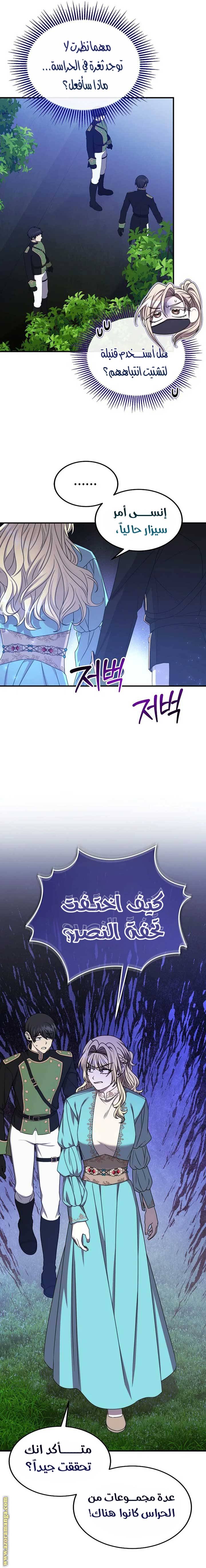 الصفحة 17