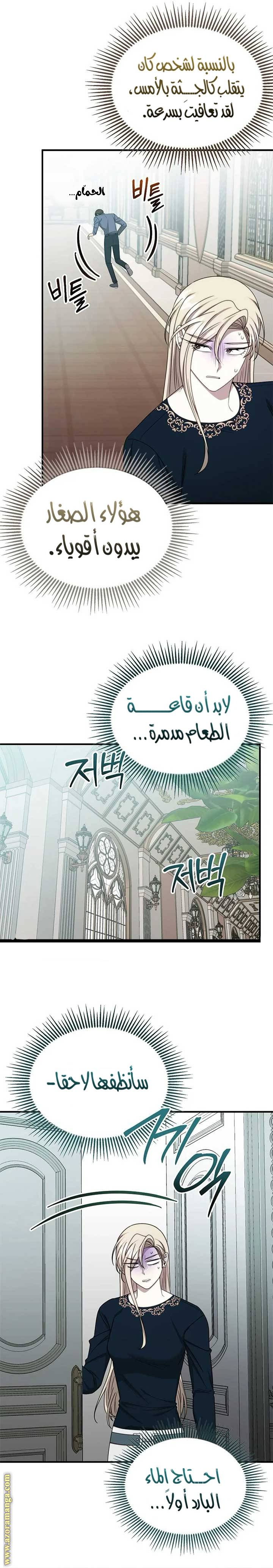 الصفحة 13