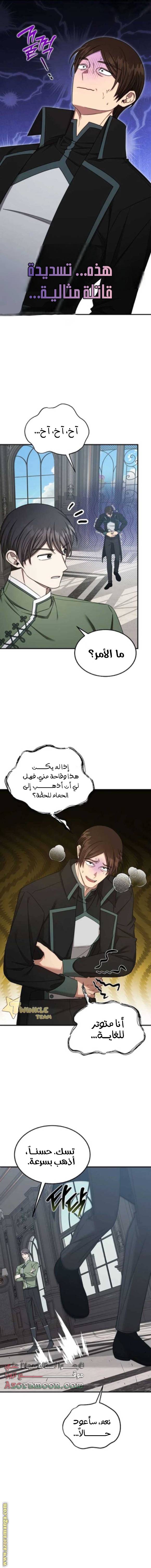 الصفحة 17