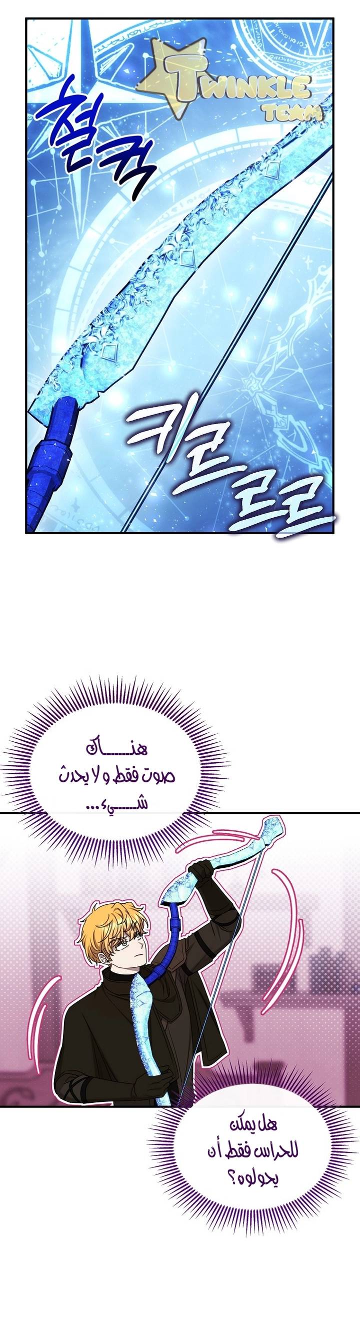 الصفحة 13