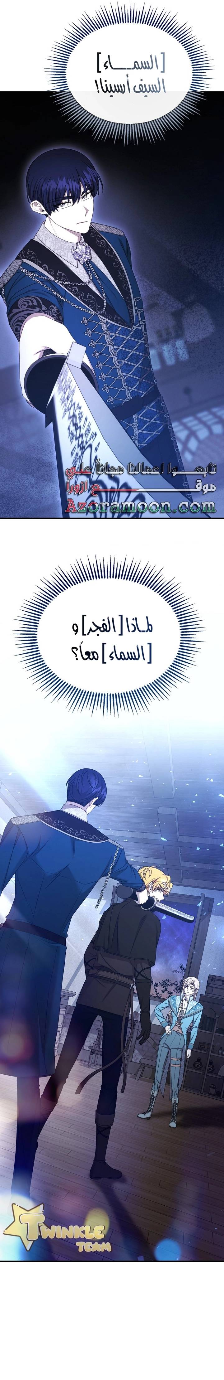 الصفحة 17