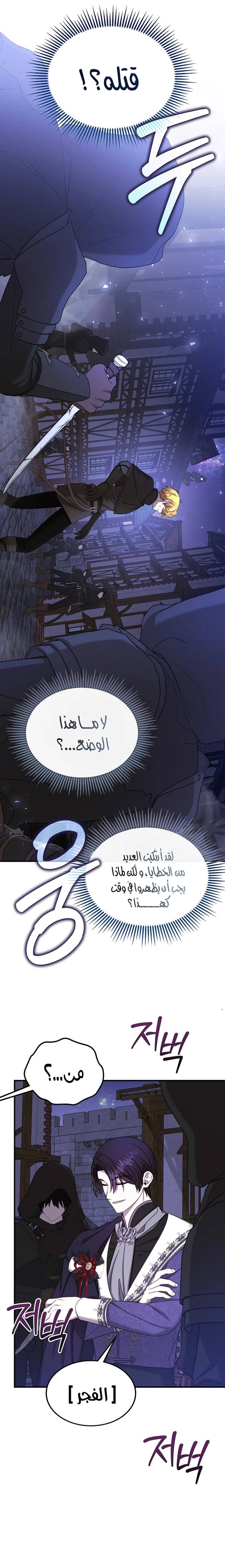الصفحة 25