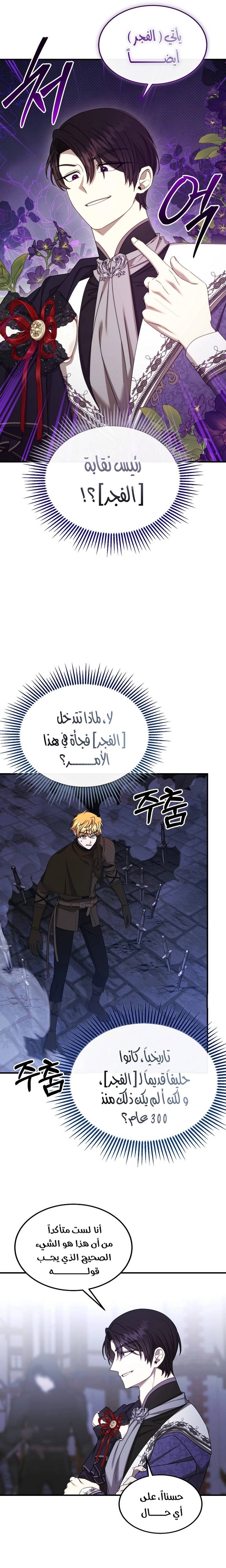 الصفحة 27