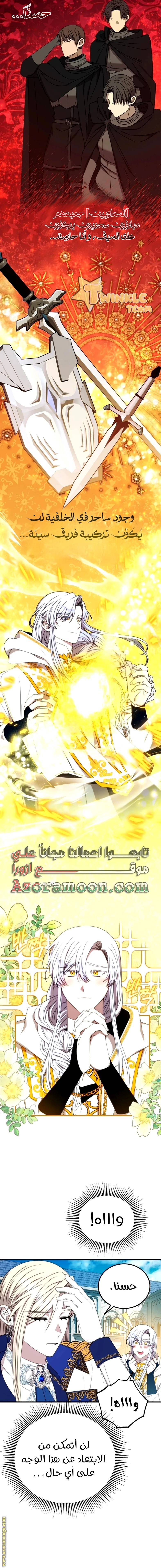 الصفحة 13