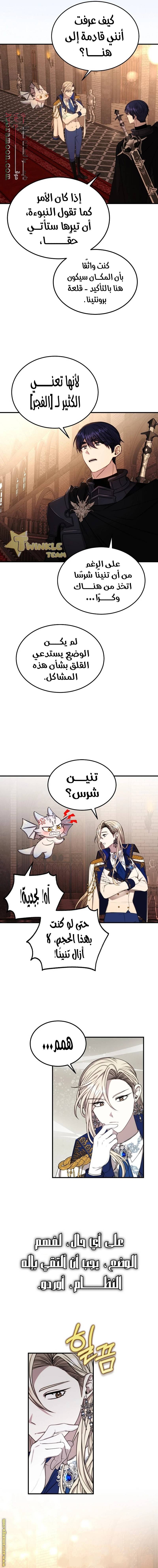 الصفحة 14