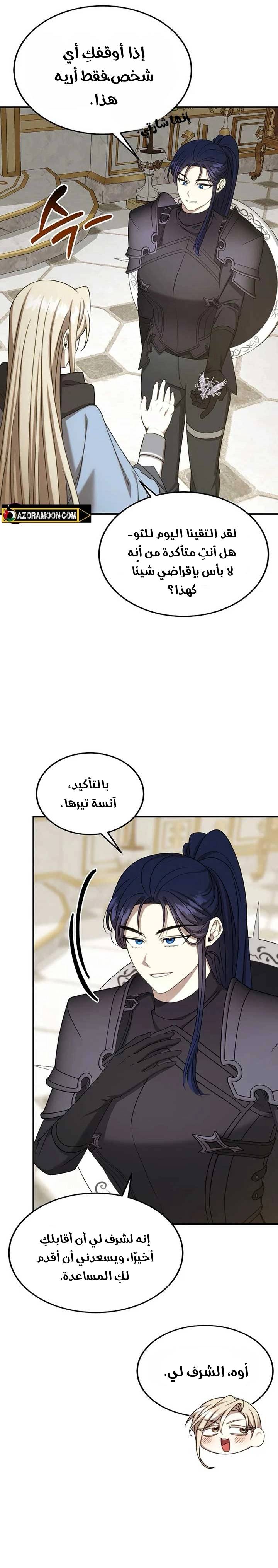 الصفحة 17