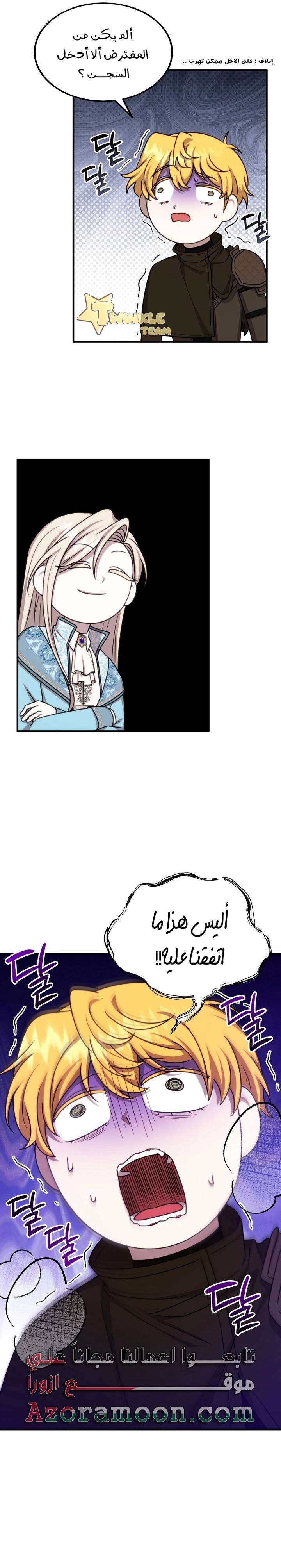 الصفحة 17