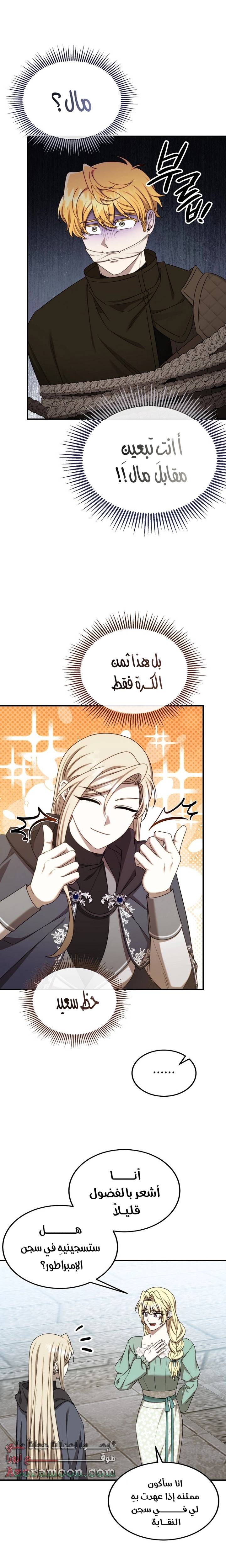 الصفحة 25