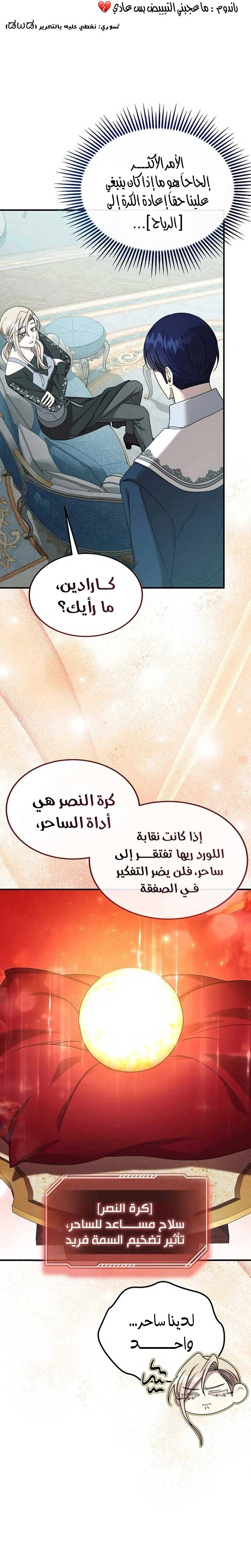 الصفحة 17