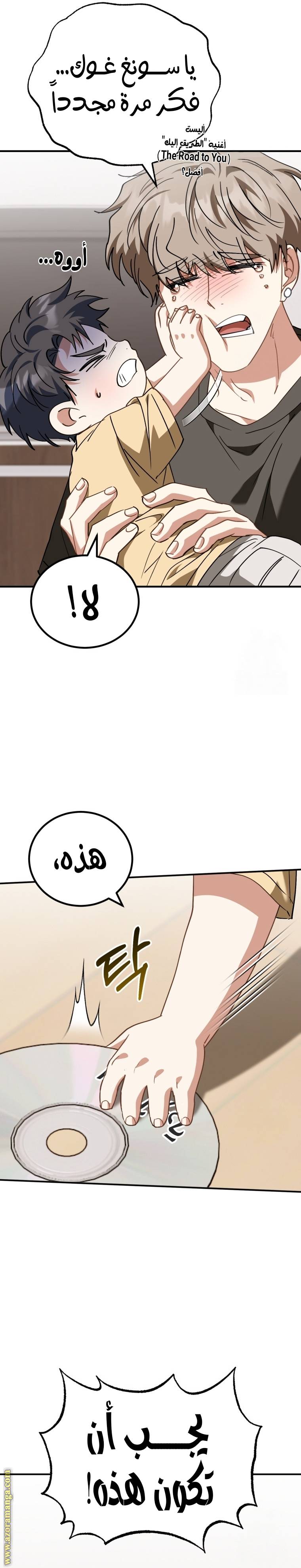 الصفحة 17