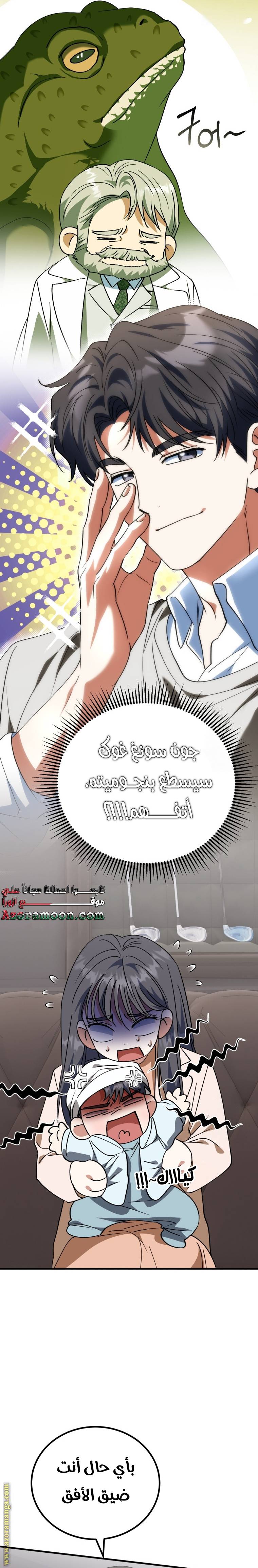 الصفحة 17