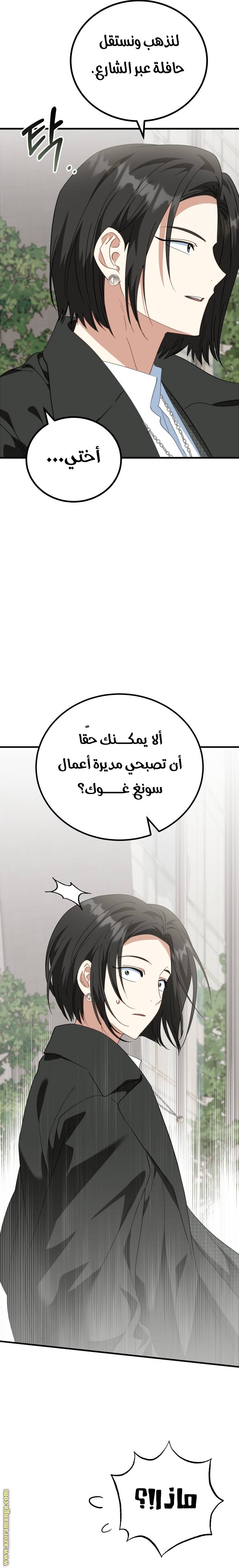 الصفحة 26