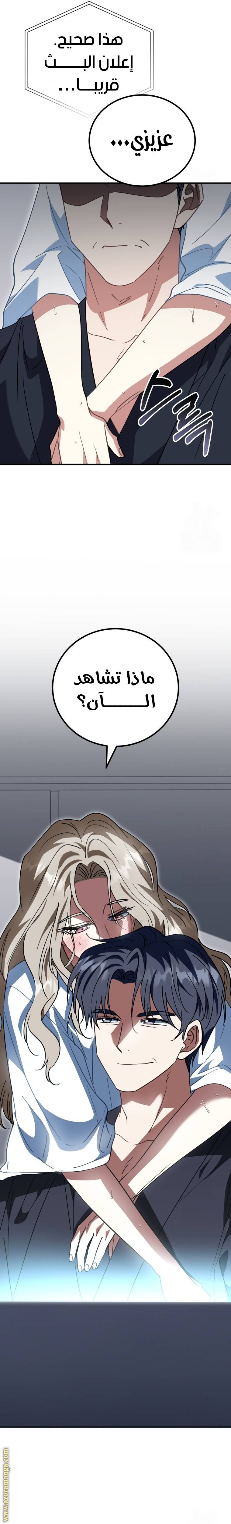الصفحة 29