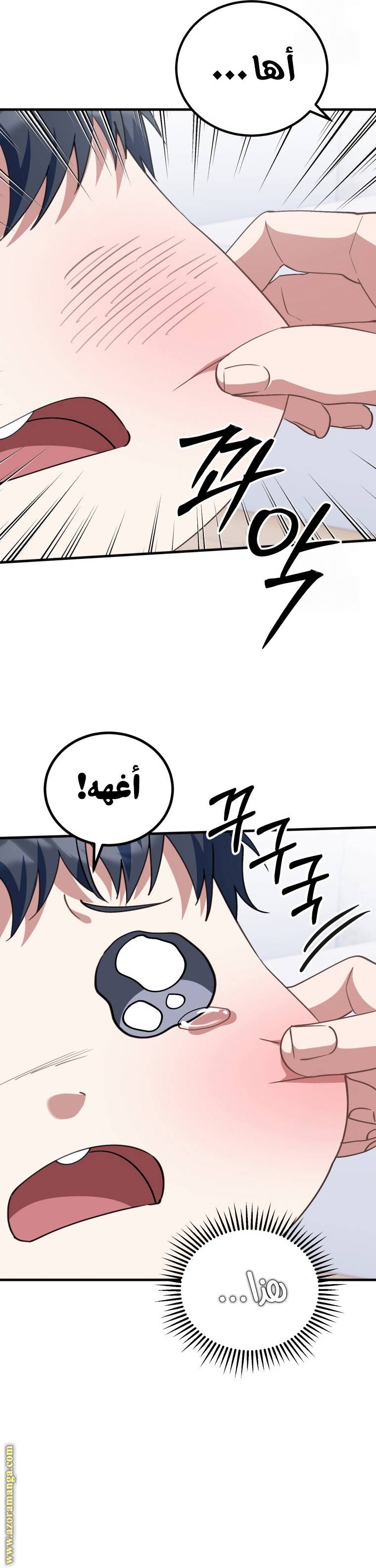 الصفحة 17