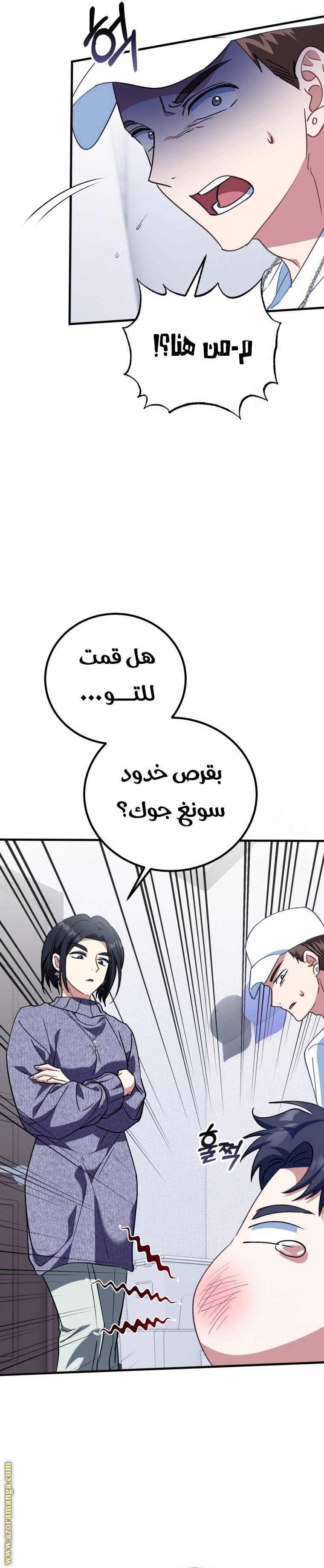 الصفحة 19
