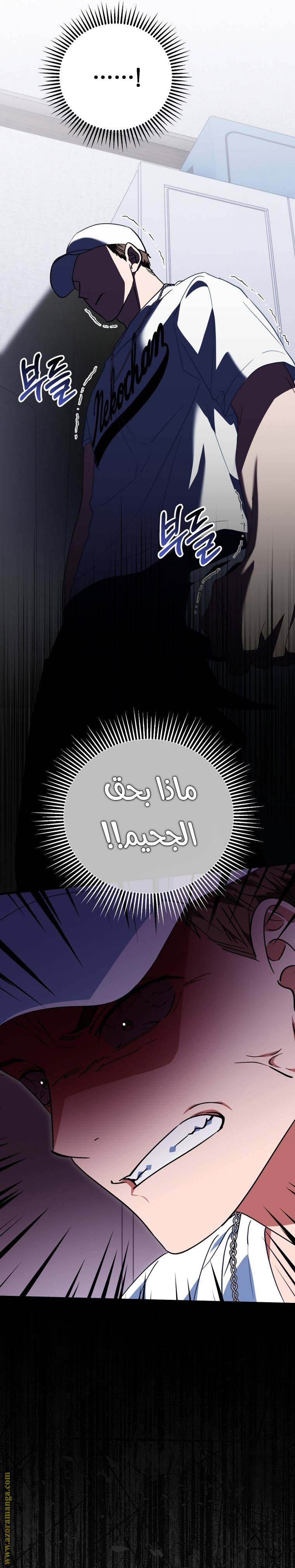 الصفحة 23