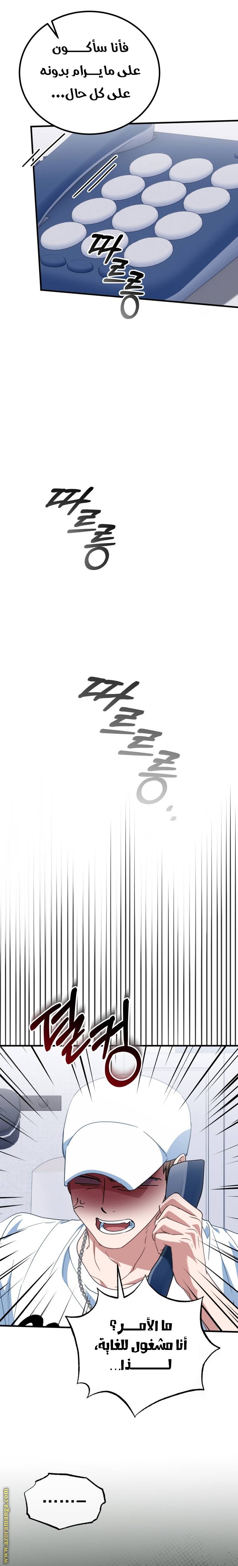 الصفحة 25