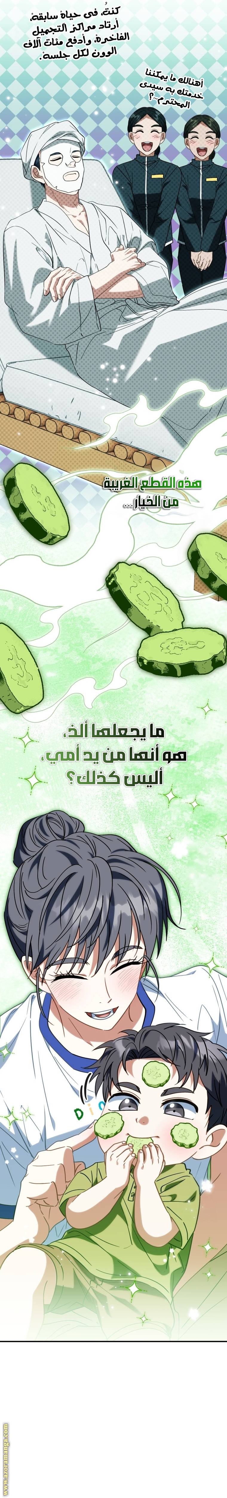 الصفحة 13
