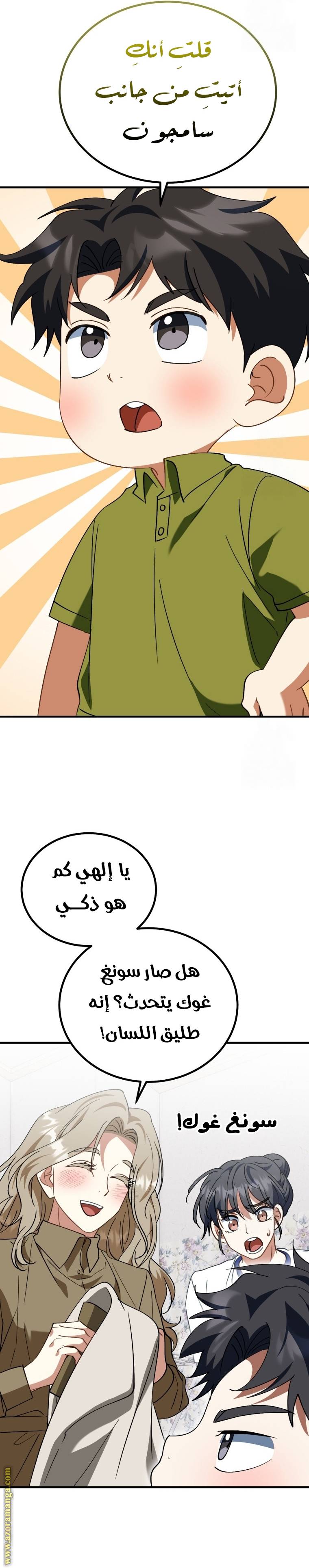 الصفحة 29