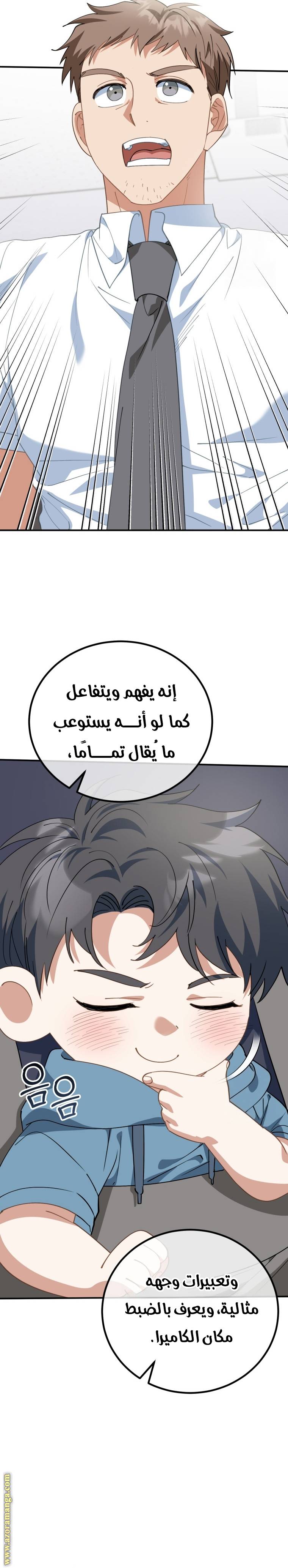 الصفحة 13