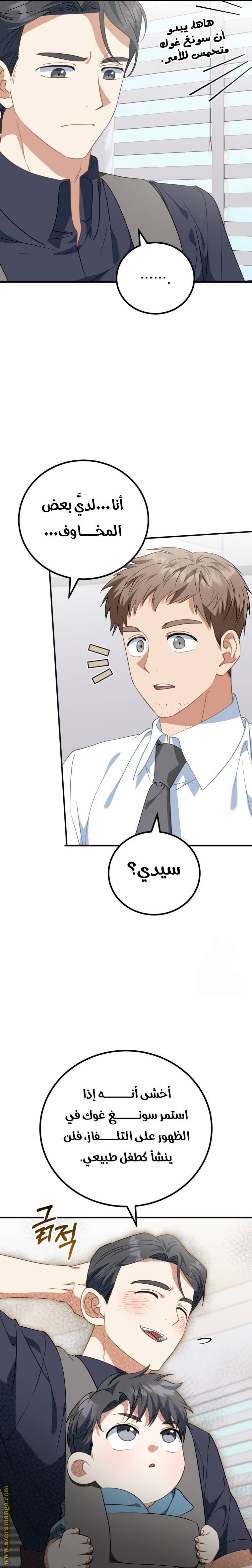 الصفحة 17