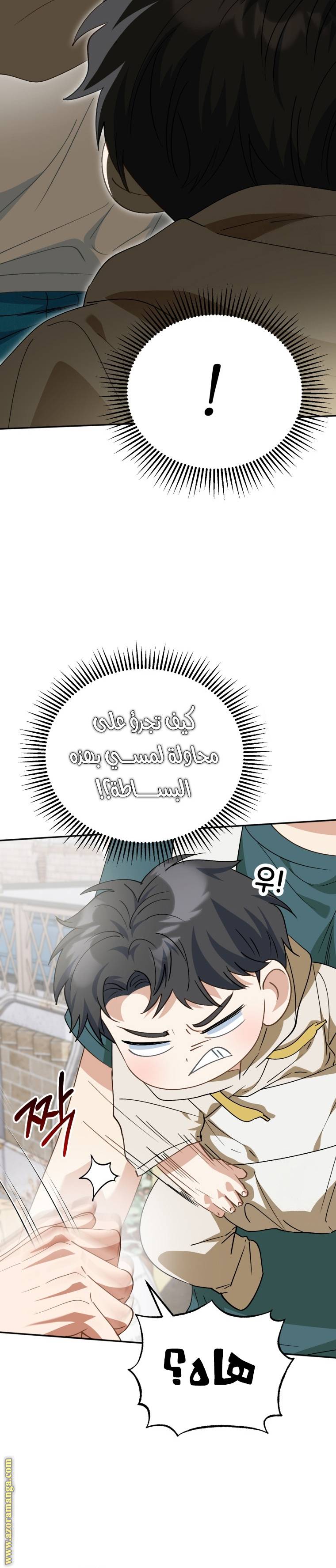 الصفحة 31