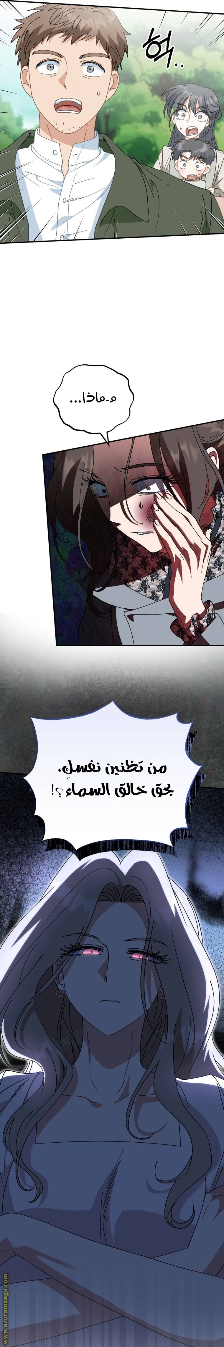 الصفحة 29