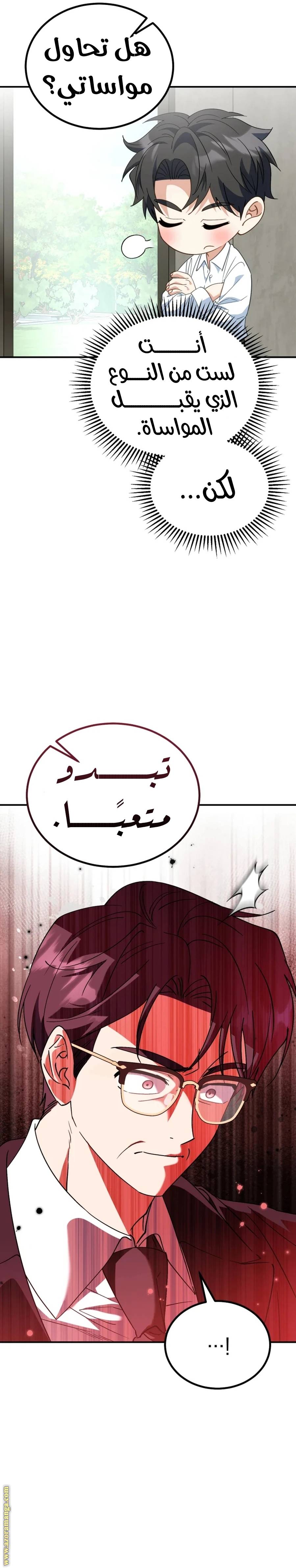 الصفحة 29