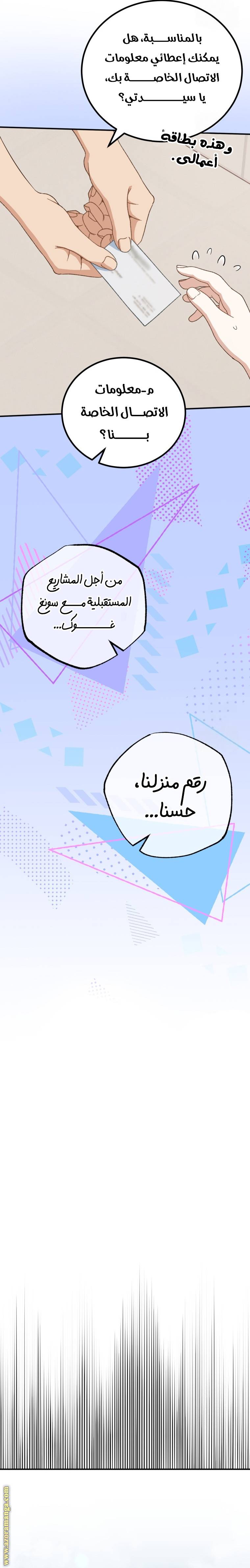 الصفحة 17