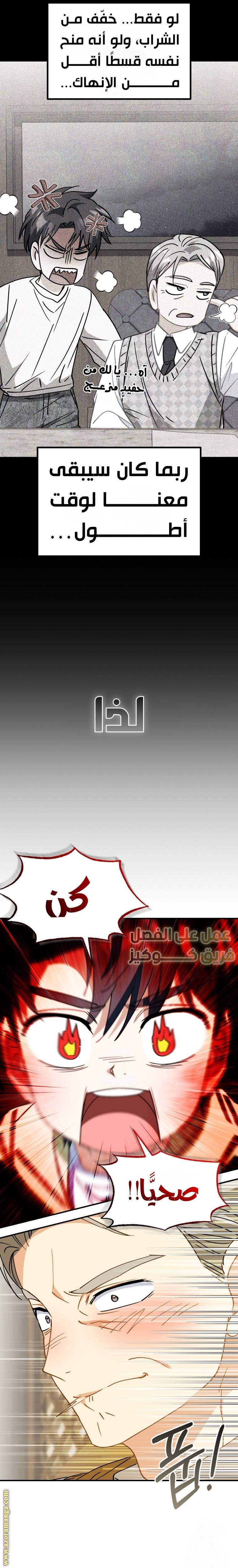 الصفحة 31