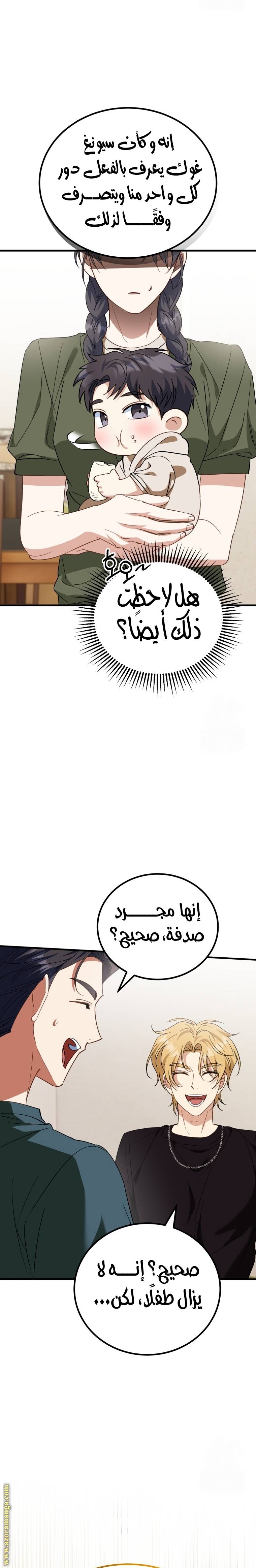 الصفحة 29