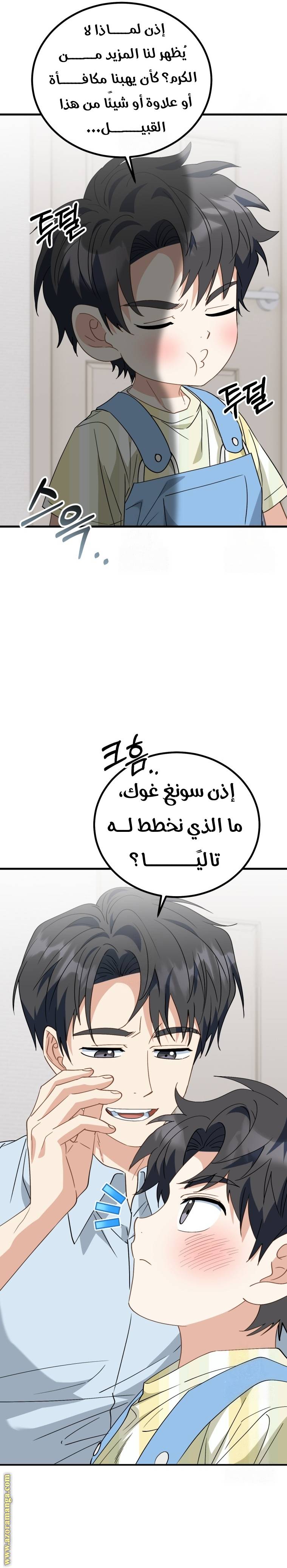 الصفحة 13