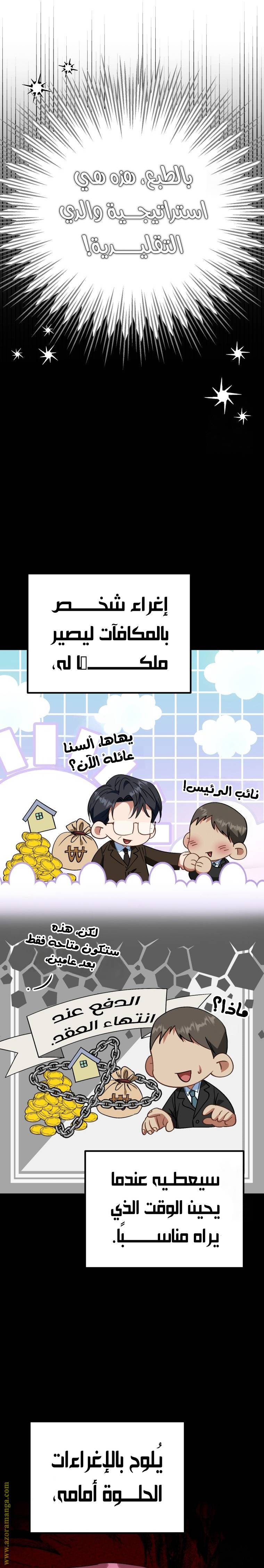 الصفحة 13