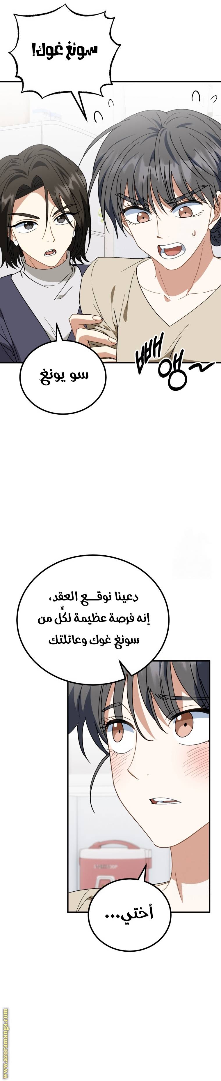 الصفحة 17
