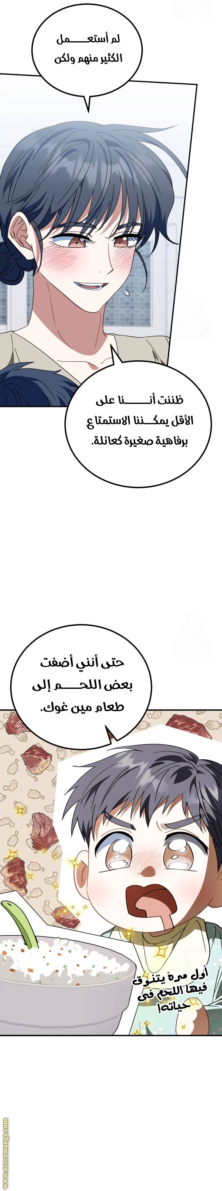 الصفحة 27