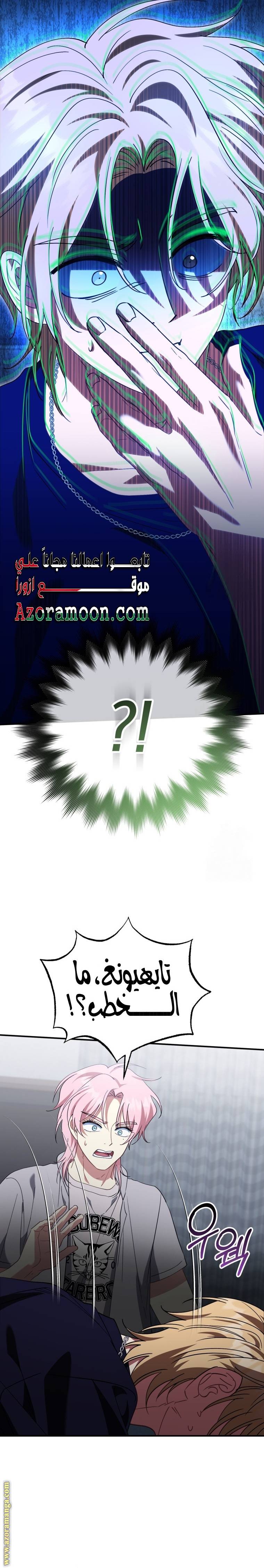 الصفحة 13