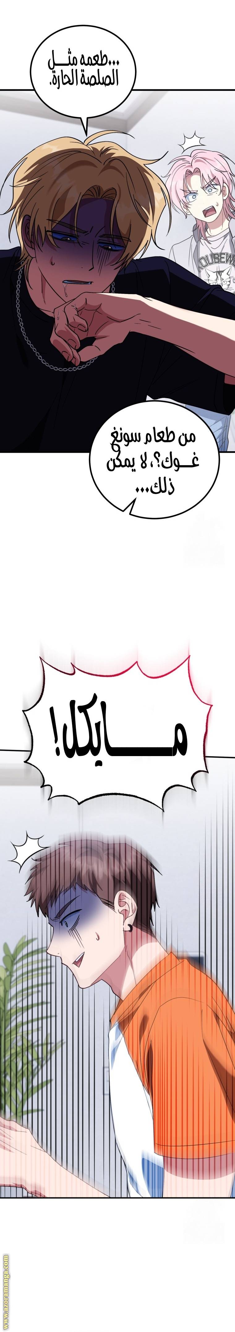الصفحة 15