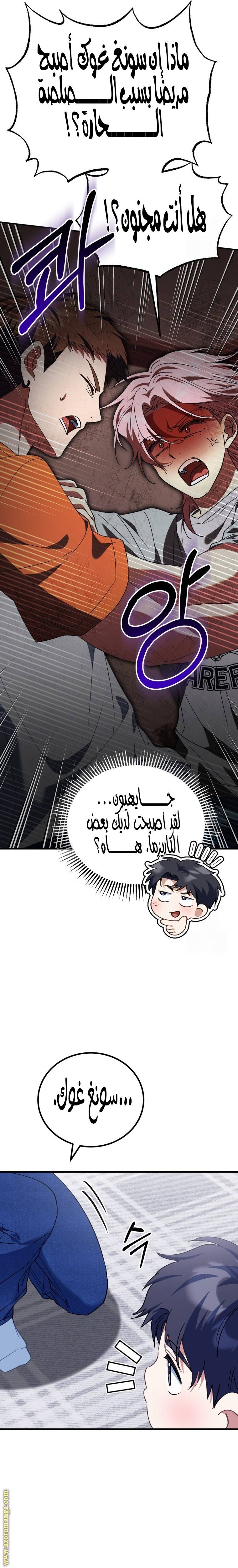 الصفحة 17