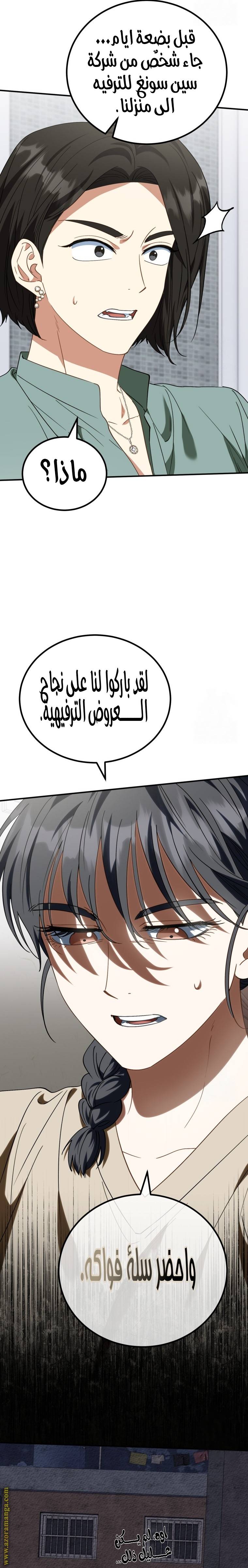 الصفحة 26