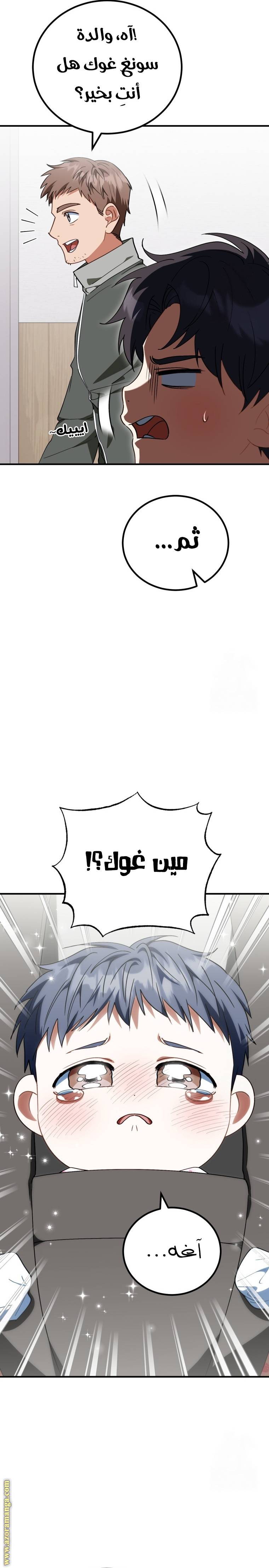 الصفحة 14